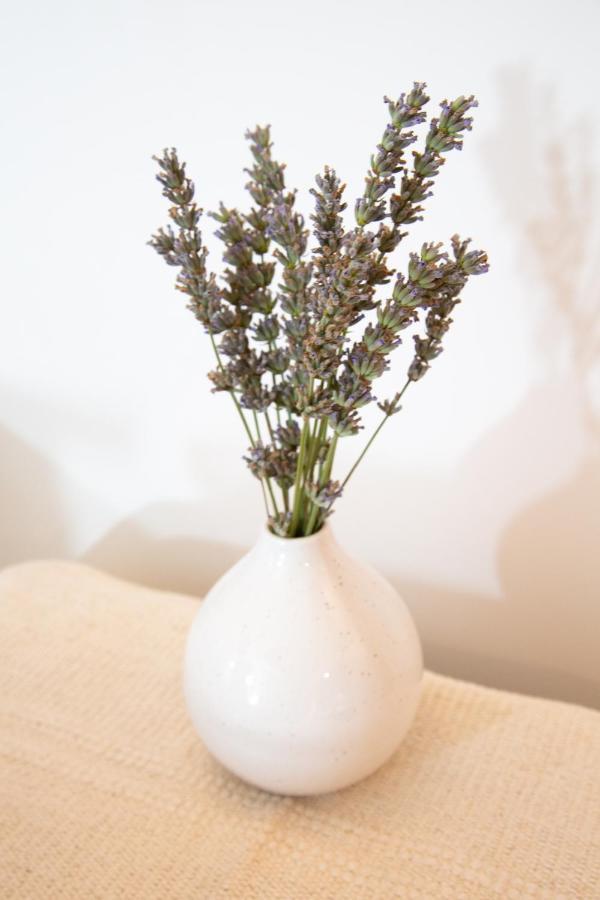 Petit Studio Secret - Coeur De Provence - 4 Personnes 沃尔 外观 照片